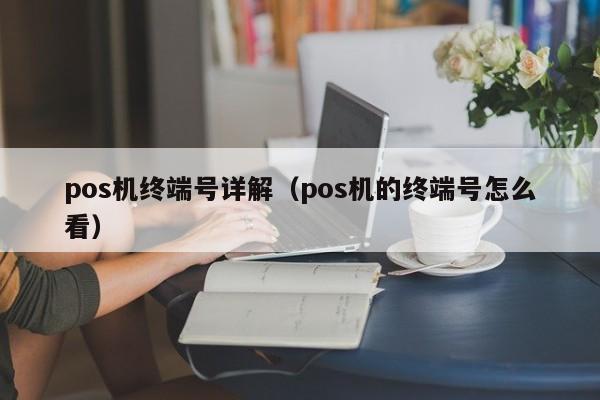 pos机终端号详解（pos机的终端号怎么看）