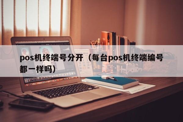 pos机终端号分开（每台pos机终端编号都一样吗）