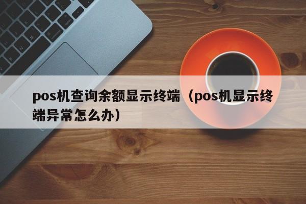 pos机查询余额显示终端（pos机显示终端异常怎么办）