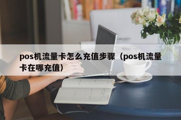 pos机流量卡怎么充值步骤（pos机流量卡在哪充值）