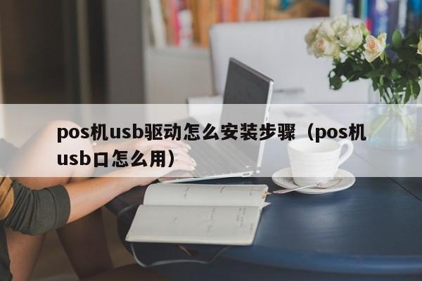 pos机usb驱动怎么安装步骤（pos机usb口怎么用）