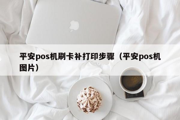 平安pos机刷卡补打印步骤（平安pos机图片）