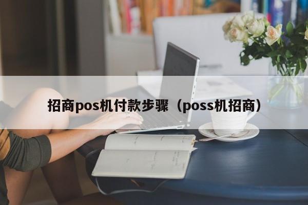 招商pos机付款步骤（poss机招商）