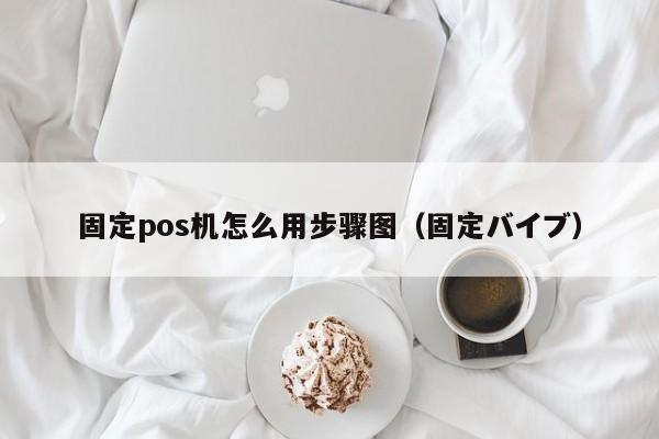 固定pos机怎么用步骤图（固定バイブ）