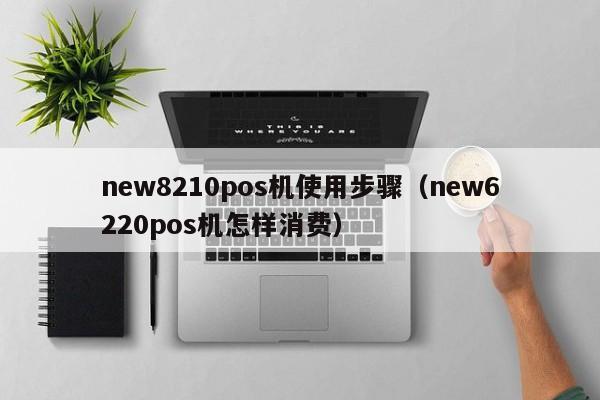 new8210pos机使用步骤（new6220pos机怎样消费）