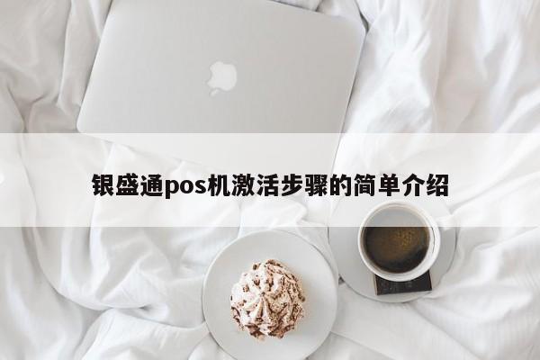 银盛通pos机激活步骤的简单介绍